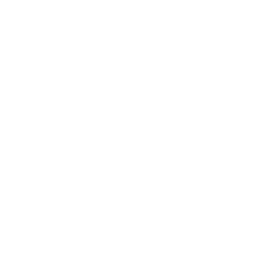 Module